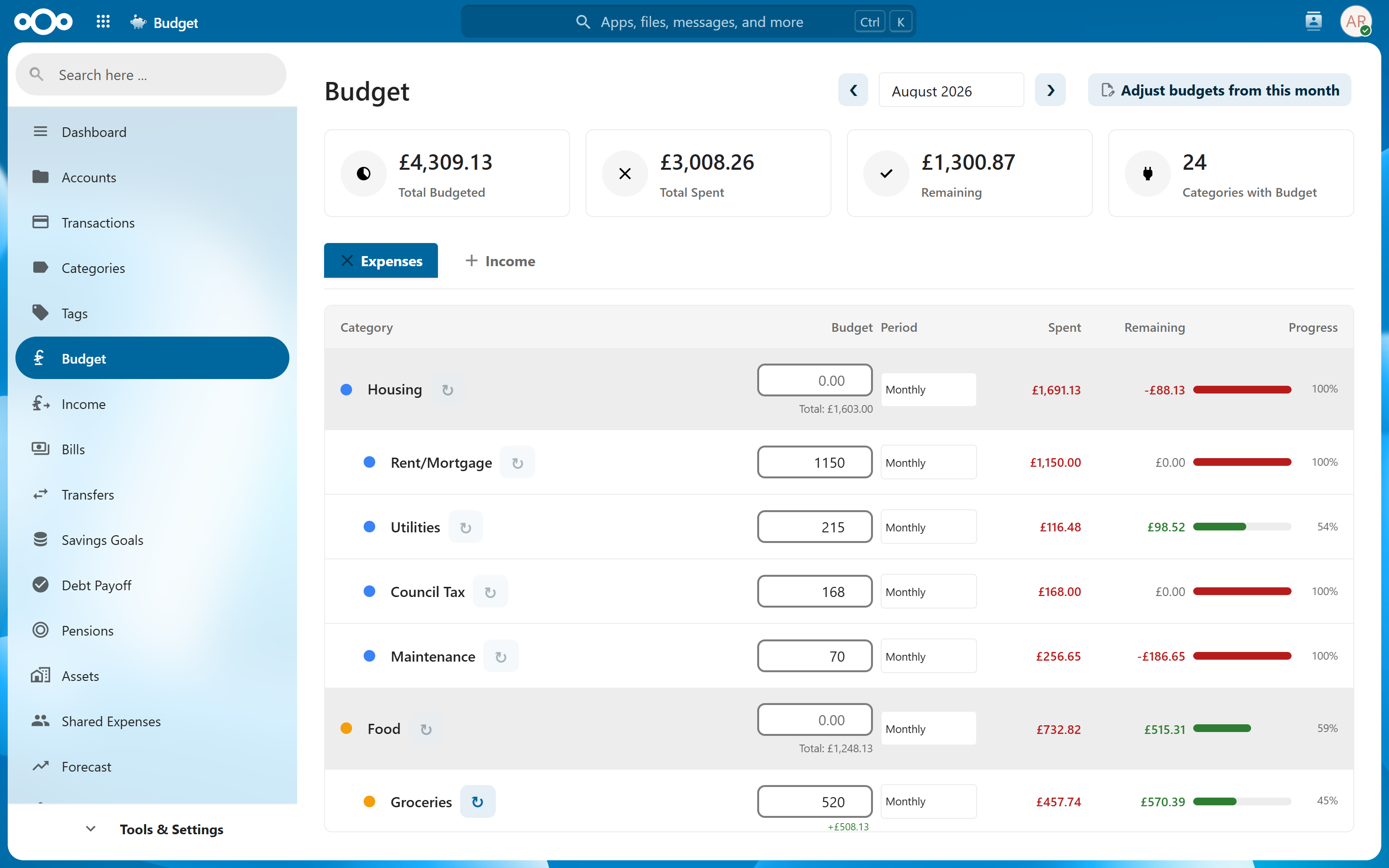 Budget view showing per-category spending limits and progress